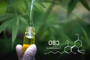 Cbd trace dans le sang