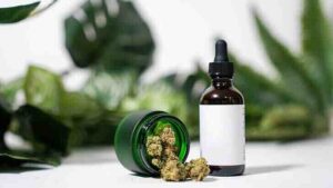 Quel est le meilleur cbd en france